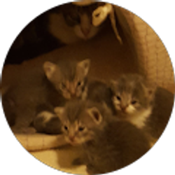 Profile photo of Darlene Y