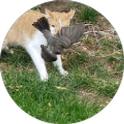 Profile photo of Steven Fisher