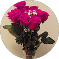 Profile photo of S. King