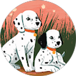 Profile photo of beysa __