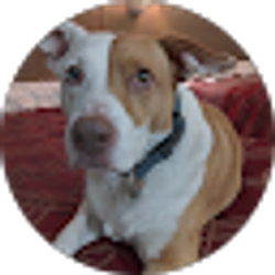 Profile photo of T Kinsey