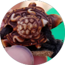 Profile photo of Jennifer Boettcher