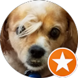 Profile photo of Kimberly Christopher