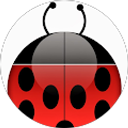 Profile photo of AJ H