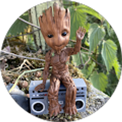 Profile photo of Angel