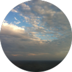 Profile photo of A. J. Flowers