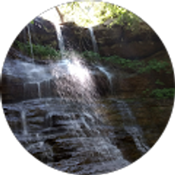 Profile photo of Michelle McCarter