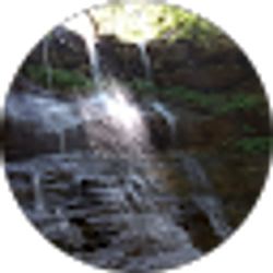Profile photo of Michelle McCarter