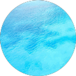 Profile photo of M D