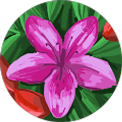 Profile photo of Valerie Shaw