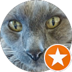 Profile photo of Laura Phillips