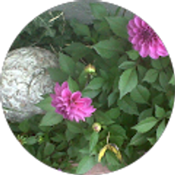 Profile photo of Marla Moore