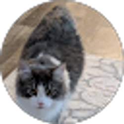 Profile photo of Susie q Badass leave me alone