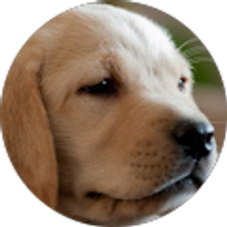 Profile photo of Kelly Mendenhall