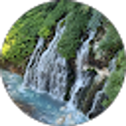 Profile photo of Sue Zemke