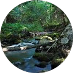 Profile photo of MNL WOODS & NATURE