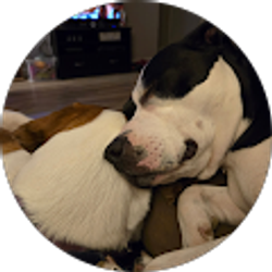 Profile photo of Amy M Dishmon