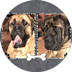 Profile photo of Lisa Persino