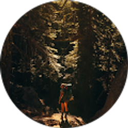 Profile photo of Tiffany Dickerson