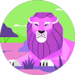 Profile photo of debbie rapp