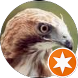 Profile photo of Jonathan Bolte