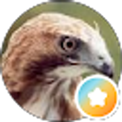 Profile photo of Jonathan Bolte