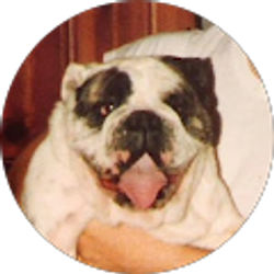 Profile photo of Stanley George