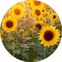 Profile photo of Jennifer Reid