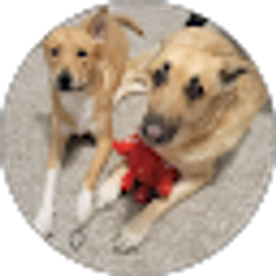 Profile photo of Michelle Cummins