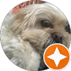 Profile photo of Betsy Arguelles