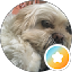 Profile photo of Betsy Arguelles