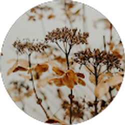 Profile photo of Breena Elliott