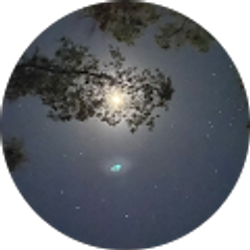 Profile photo of John Smith