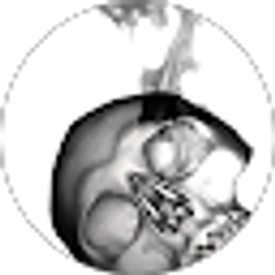 Profile photo of Thomas Ledoux