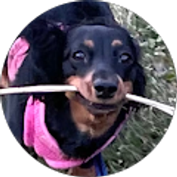 Profile photo of Len Licata