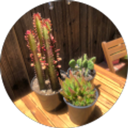 Profile photo of Sandra K Flowers