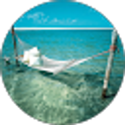 Profile photo of David Lange