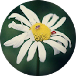 Profile photo of Brittany Heddon