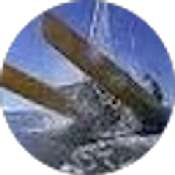 Profile photo of John Roberto