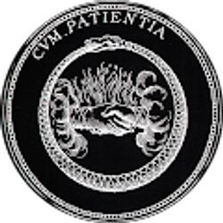 Profile photo of Joe Morgan