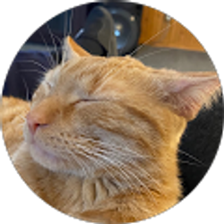 Profile photo of Shaun Wise