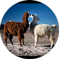 Profile photo of Valerie R.