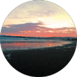 Profile photo of Adrian Mota