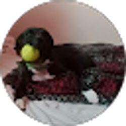 Profile photo of jimmy allison