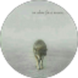 Profile photo of Lone Wolffe