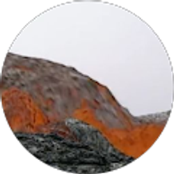 Profile photo of S mart