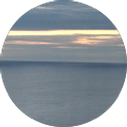 Profile photo of Maureen Smith
