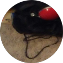 Profile photo of John Doe