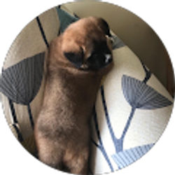 Profile photo of Tania Guerrero