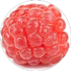 Profile photo of Pamela Marks